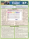 QuickStudy - Excel XP